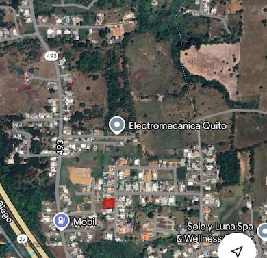 Almendro S 26, Hatillo, PR 00612 - photo 4