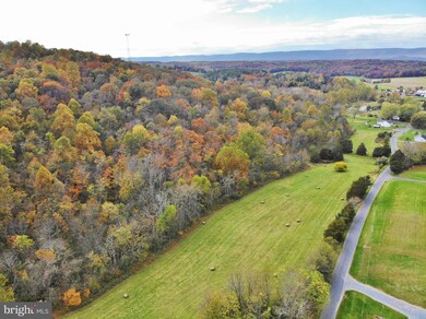 4515 Swover Creek Rd, Edinburg, VA 22824 - photo 6