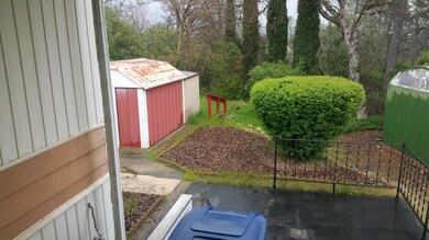 View to backyard from back patio