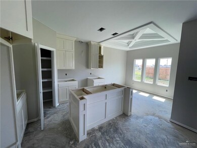 819 Hawk St, Alamo, TX 78516 - photo 6