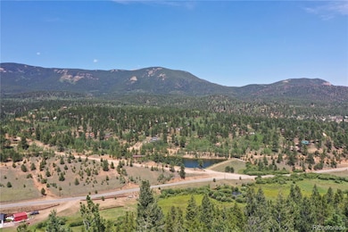 272, 298 & 310 Wise Rd, Bailey, CO 80421 - photo 3