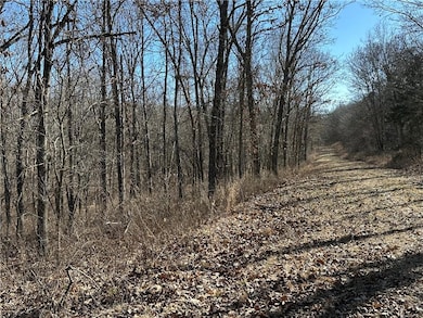 LOTS 3155,3156,3101 Rolfs Place, Union Township, MO 65326 - photo 2