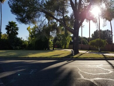 Hackamore Lot