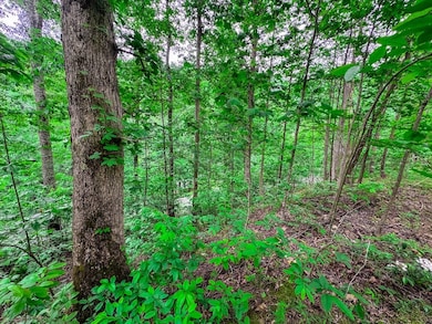 Elk River Rd unit Lot WP001, Procious, WV 25164 - photo 6