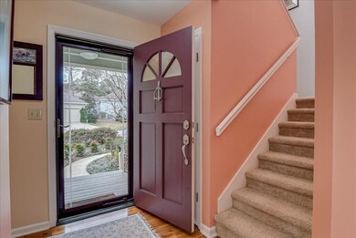 Storm Door Lets the Light Shine Through