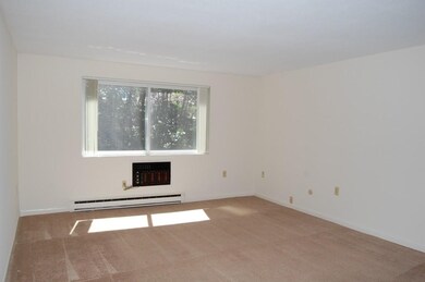 49 E Meadow Ln unit 20, Lowell, MA 01854 - photo 4