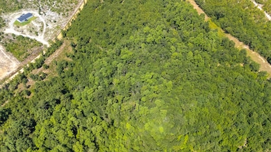 2576 Jessie James Pond Rd unit 2, Wrens, GA 30818 - photo 6