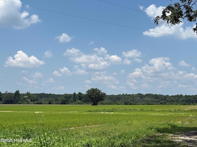 0 Near James B White Hwy N, Clarkton, NC 28433 - photo 2