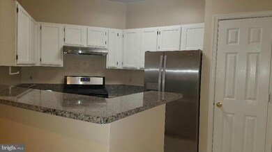 14314 Climbing Rose Way unit 202, Centreville, VA 20121 - photo 4