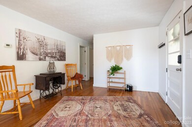 1130 Old Leicester Hwy unit 1, Asheville, NC 28806 - photo 4