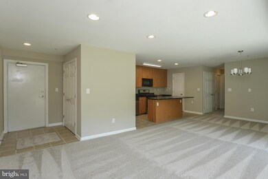 1002 Primrose Rd, Annapolis, MD 21403 - photo 3
