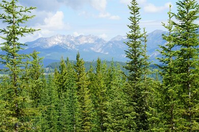 Lot 23 Beaver Creek W, Big Sky, MT 59716 - photo 6