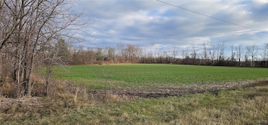 0 New York 96a unit S1652739, Ovid, NY 14521 - photo 2