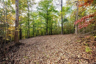 713 Brandon Rd, Clover, SC 29710 - photo 5