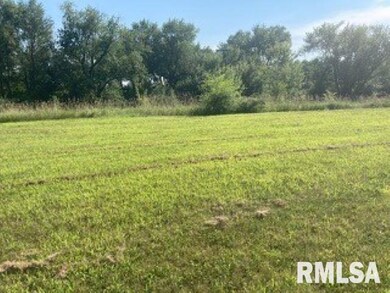 3829 229th Street Cir N, Port Byron, IL 61275 - photo 7