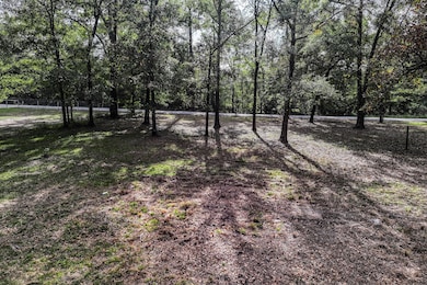 106 Roy Webb Rd, Huntsville, TX 77320 - photo 6