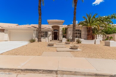 01 - Desert Broom 3162