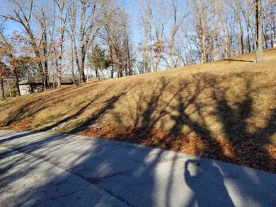 47 Canyon Forest Cir, Kimberling City, MO 65686 - photo 7