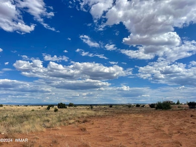 5494 Glasglow Dr, Snowflake, AZ 85937 - photo 6