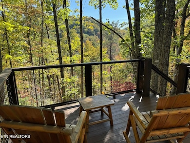 3133 Hatcher Top Rd, Sevierville, TN 37862 - photo 5