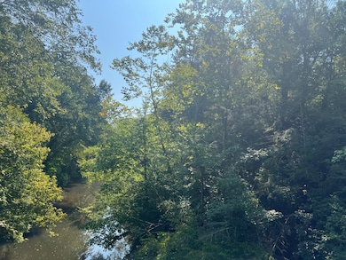 #1 Ambler Rd, Lousia, VA 23093 - photo 7