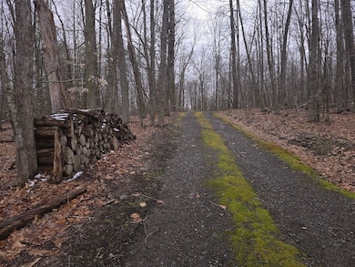 599 Ostrander Rd, Windsor, NY 13865 - photo 5