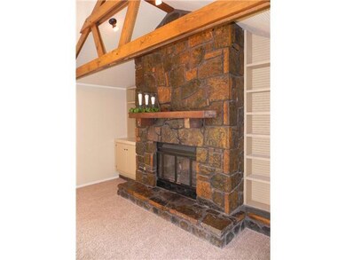 Den/Family/Great Room. Family Room stone fireplace