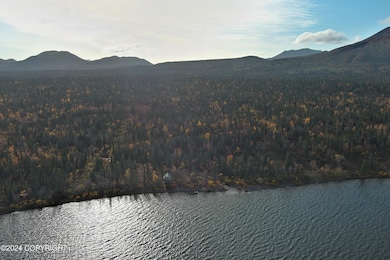 L3B5 Bear Tracks Rd, Aleknagik, AK 99555 - photo 7