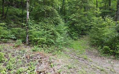 TR 2 Cindy Cove Rd, Blairsville, GA 30511 - photo 5