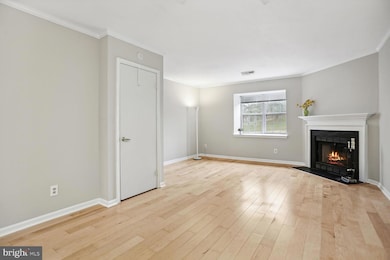 1603 S Barton St unit 29, Arlington, VA 22204 - photo 4