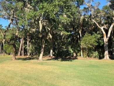 2523 Otter Ln, Seabrook Island, SC 29455 - photo 4