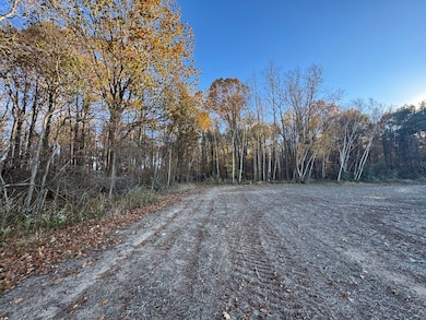 W Birch Run Rd, Burt, MI 48417 - photo 5