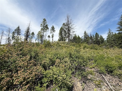 0 Rockabye Ln, Curlew, WA 99118 - photo 5