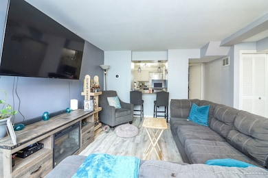 One Atrium Court unit 309, Berwyn, IL 60402 - photo 6