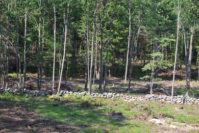 210 Ridge Rd unit 3, New Durham, NH 03855 - photo 6