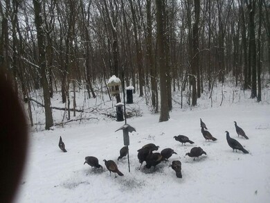 1 S 350 E, Pleasant Township, IN 46350 - photo 6