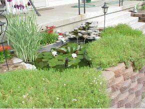 624 N Main St, Milan, IN 47031 - photo 4