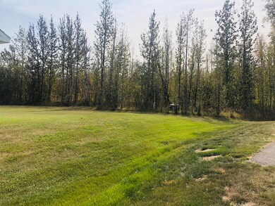 Exterior Lawn