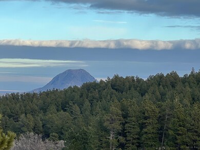 Lot 21 Summit Pass unit Dakota Highland Esta, Whitewood, SD 57793 - photo 2