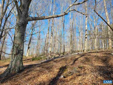 1 Beech Tree Ln, Rockfish, VA 22920 - photo 5