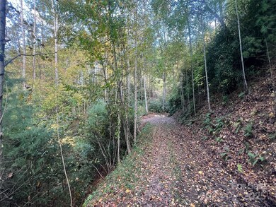 6 Dividing Ridge Trail unit 1, Arden, NC 28704 - photo 2