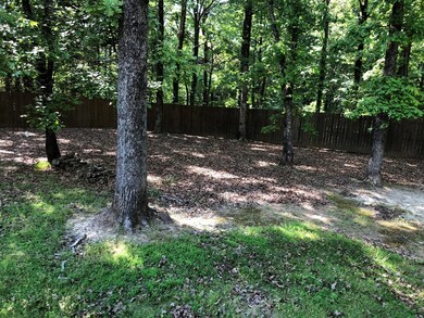 295 County Road 103, Oxford, MS 38655 - photo 6