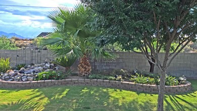 5 - BackYard