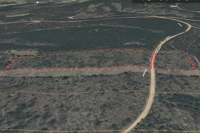 Screenshot 2025-11-08 at 1.59.19PM