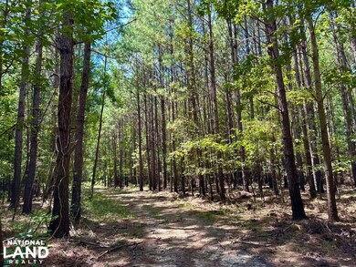 0 Hwy 19 N, Lumber City, GA 31549 - photo 6