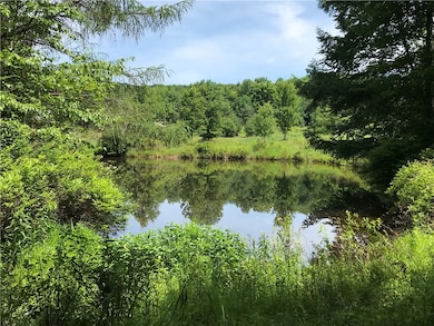 0 Campbell Rd, Franklin, NY 13775 - photo 7