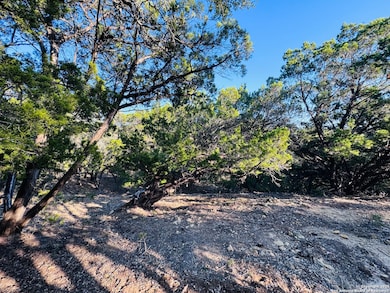 169 Center Point Rd, Lake Medina Shores, TX 78003 - photo 6