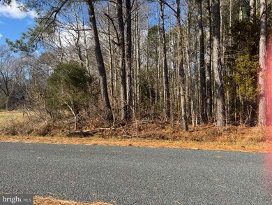 0 Hickman Ln unit 338, Nanticoke, MD 21840 - photo 2