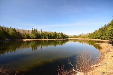 Man Made Trout Pond