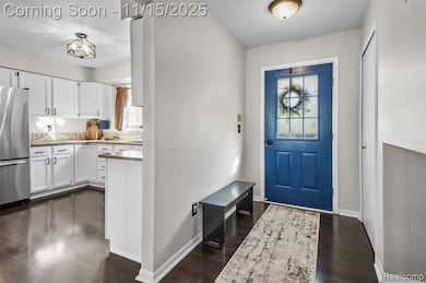 Foyer entrance with dark wood-style floors